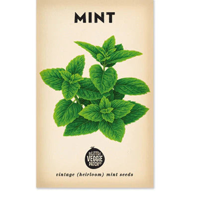 Little Veggie Patch Co - Mint 'Peppermint' Heirloom Seeds
