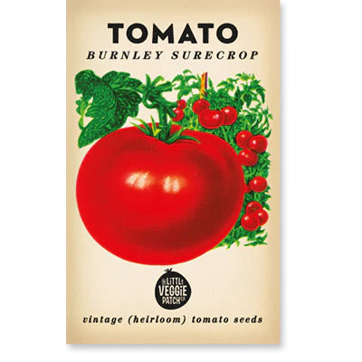 Little Veggie Patch Co - Tomato 'Burnley Surecrop' Heirloom Seeds